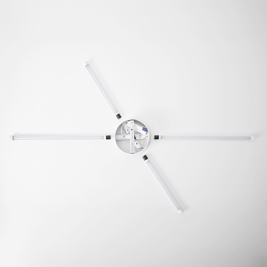 Brilagi - LED Nástenné svietidlo LUGO QUATTRO LED/16W/230V biela