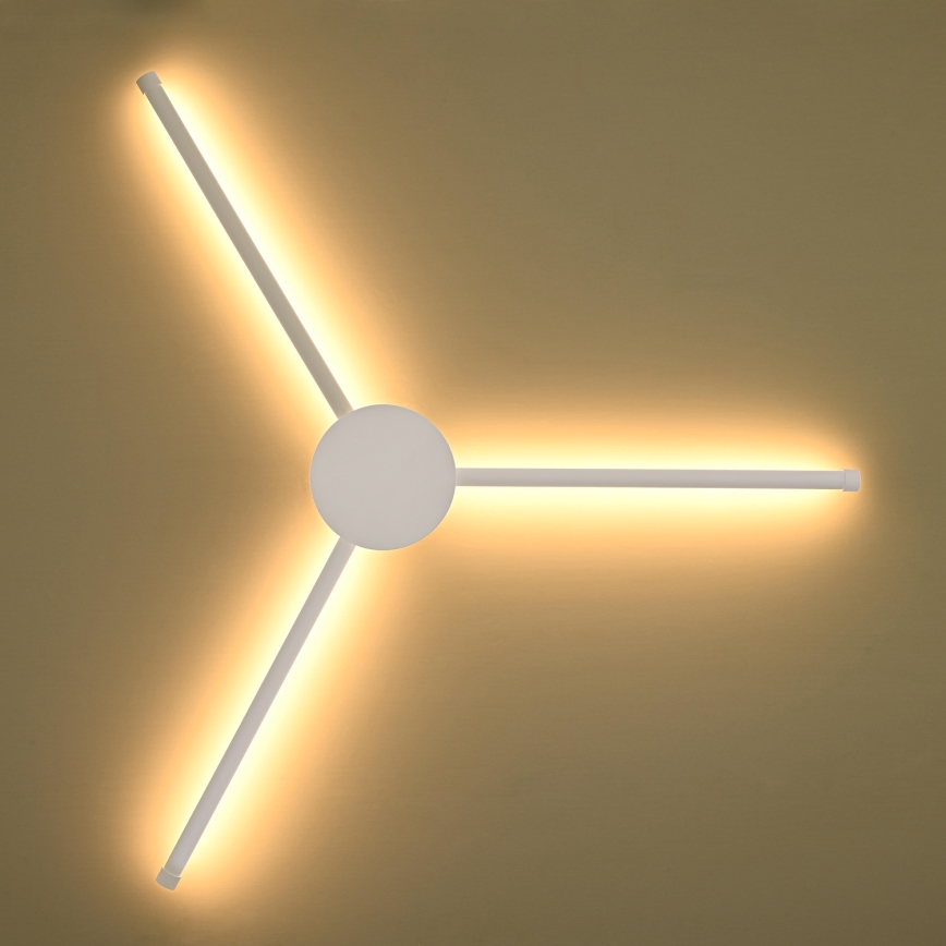 Brilagi - LED Nástenné svietidlo LUGO TRE LED/14W/230V biela