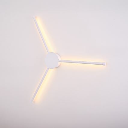 Brilagi - LED Nástenné svietidlo LUGO TRE LED/14W/230V biela