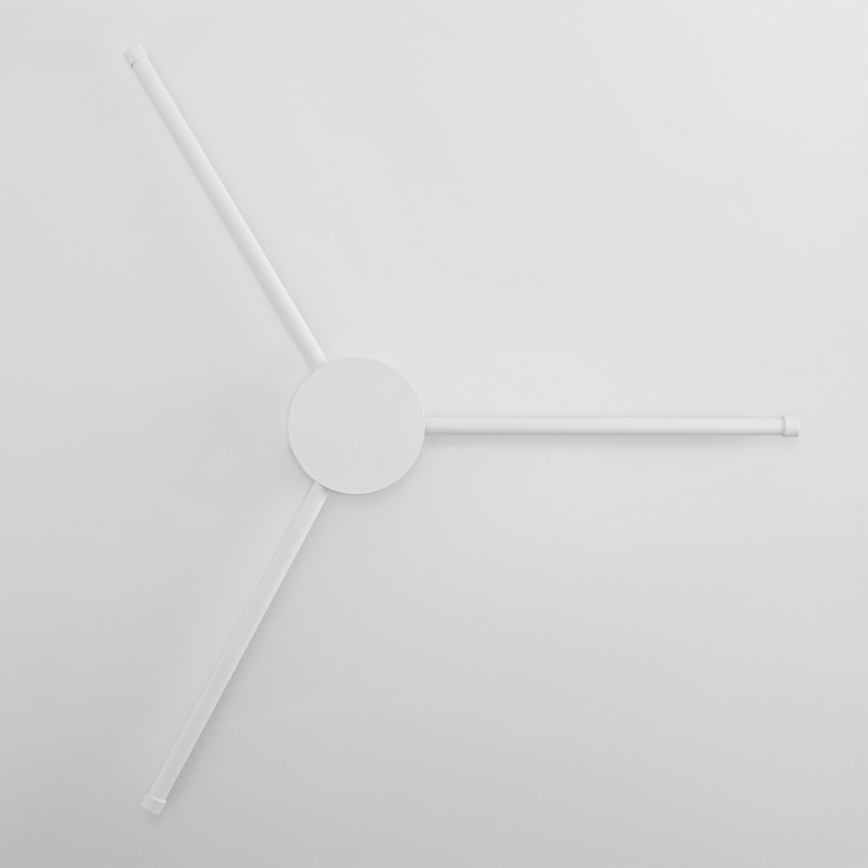 Brilagi - LED Nástenné svietidlo LUGO TRE LED/14W/230V biela