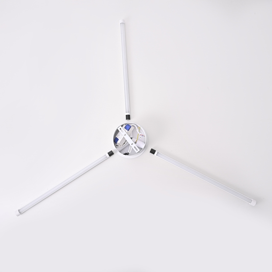 Brilagi - LED Nástenné svietidlo LUGO TRE LED/14W/230V biela