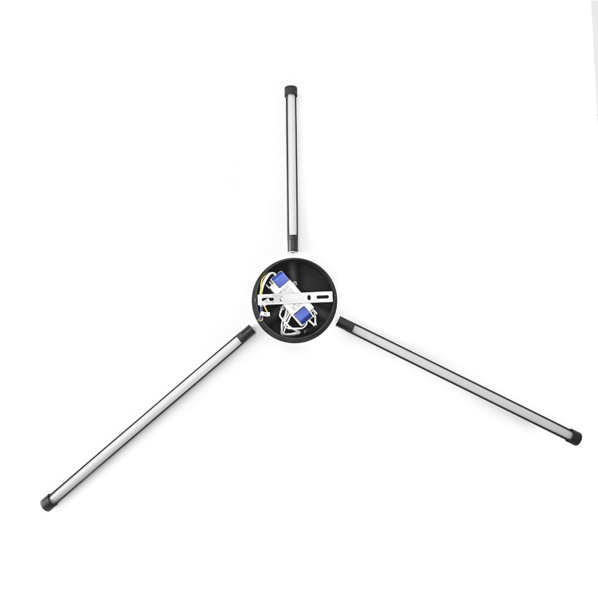 Brilagi - LED Nástenné svietidlo LUGO TRE LED/14W/230V čierna