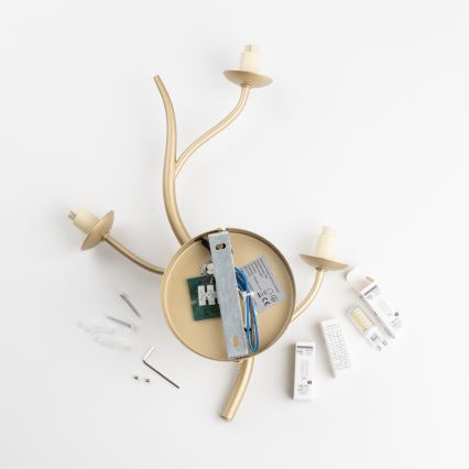 Brilagi - LED Nástenné svietidlo MISTEL 3xG9/3W/230V zlatá/biela