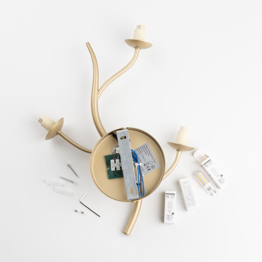 Brilagi - LED Nástenné svietidlo MISTEL 3xG9/3W/230V zlatá/biela