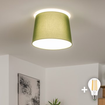 Brilagi - LED prisadené stropné svietidlo CERIA 1xE27/40W/230V, priemer 30 cm, zelené