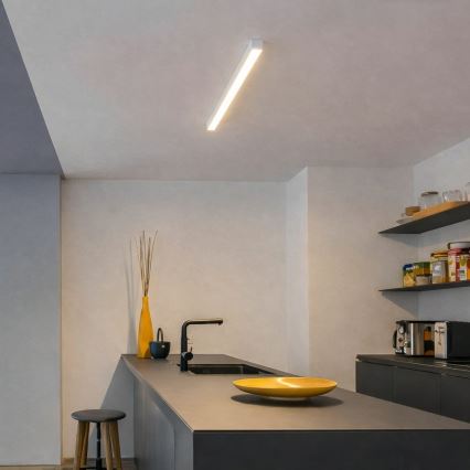 Brilagi - Prisadené LED stropné svietidlo FULLDAY LED/10/15/20W/230V 2700/4000/6000K 60 cm biela