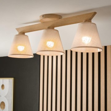 Brilagi - LED  Prisadený luster ANTHONY 3xE14/40W/230V dub/béžová