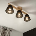 Brilagi - LED  Prisadený luster ANTHONY 3xE14/40W/230V dub/čierna
