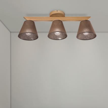 Brilagi - LED  Prisadený luster ANTHONY 3xE14/40W/230V dub/hnedá