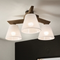 Brilagi - LED  Prisadený luster ANTHONY 3xE14/40W/230V dub orech/biela