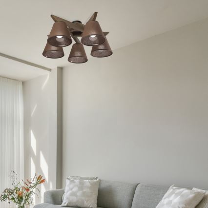Brilagi - LED  Prisadený luster ANTHONY 5xE14/40W/230V dub orech/hnedá