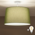 Brilagi - LED Prisadený luster CERIA 1xE27/60W/230V pr. 45 cm biela/zelená