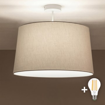 Brilagi - LED prisadený luster CERIA 1xE27/60W/230V priemer 45 cm biela/šedá
