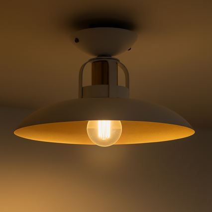 Brilagi - LED Prisadený luster FLAMENGO 1xE27/60W/230V biela