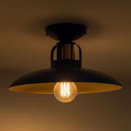 Brilagi - LED Prisadený luster FLAMENGO 1xE27/60W/230V modrá