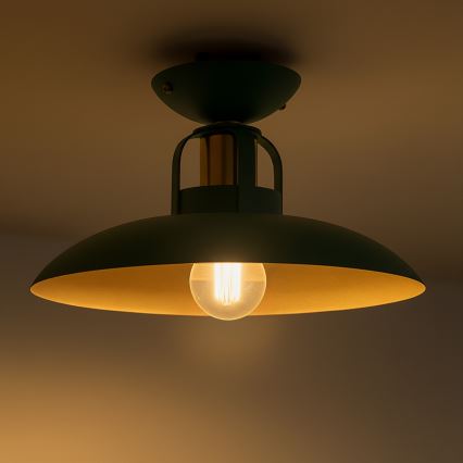 Brilagi - LED Prisadený luster FLAMENGO 1xE27/60W/230V zelená