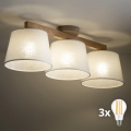 BRILAGI - LED Prisadený luster LATTE SABIA 3xE27/15W/230V borovica/biela