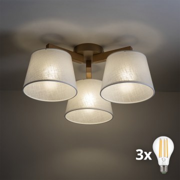 BRILAGI - LED Prisadený luster LATTE SABIA 3xE27/15W/230V borovica/biela