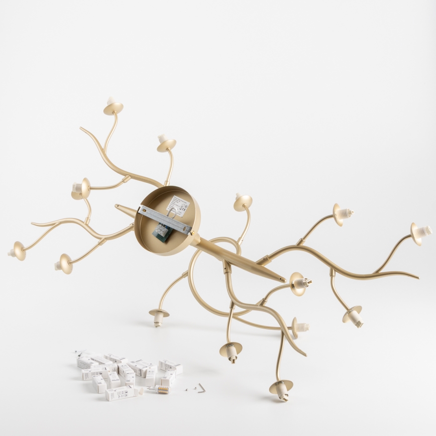 Brilagi - LED Prisadený luster MISTEL 15xG9/3W/230V zlatá