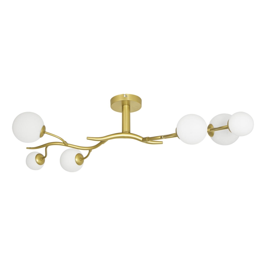 Brilagi - LED Prisadený luster MISTEL 6xG9/3W/230V zlatá/biela