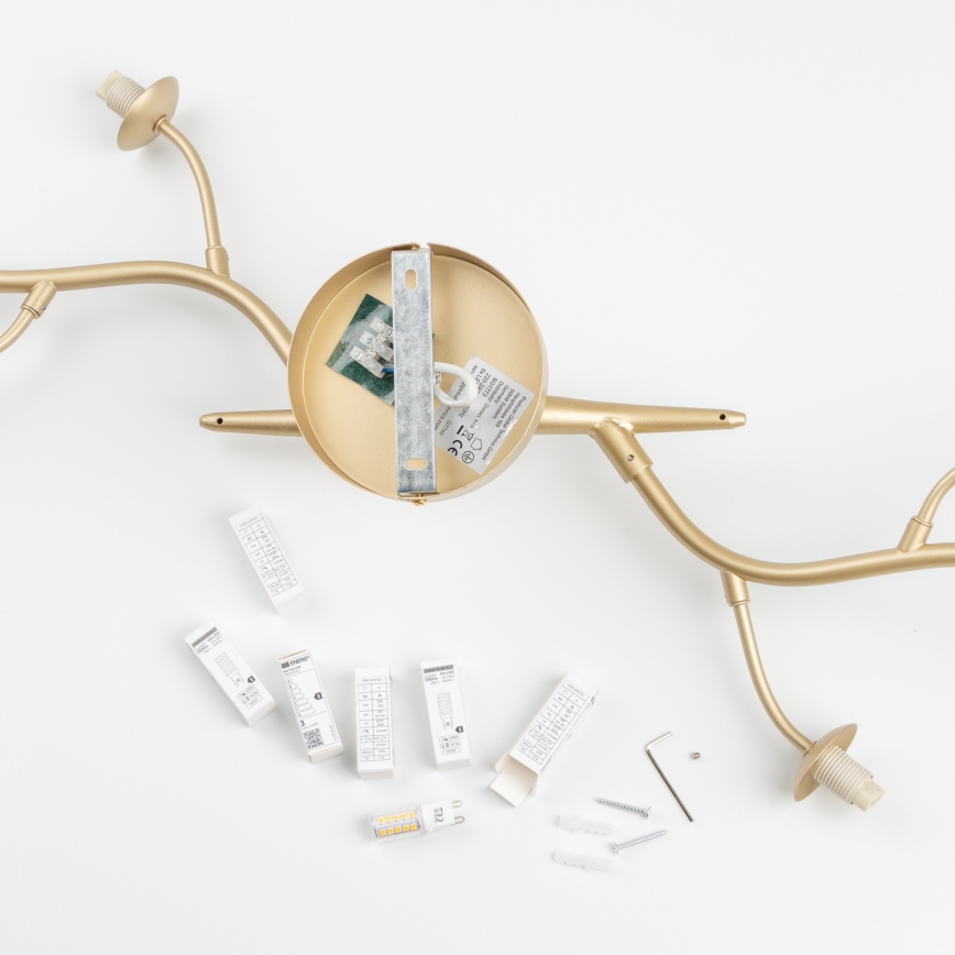 Brilagi - LED Prisadený luster MISTEL 6xG9/3W/230V zlatá