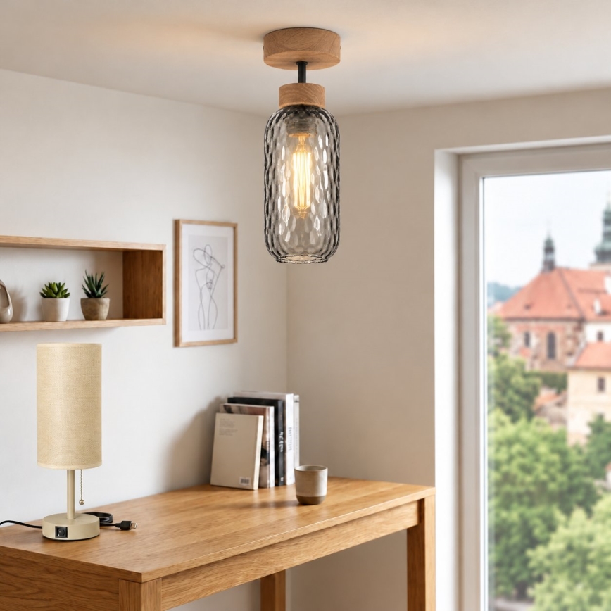 BRILAGI - LED Prisadený luster RETRO GLASS 1xE27/60W/230V pr. 14 cm dub/dymová sivá