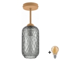 BRILAGI - LED Prisadený luster RETRO GLASS 1xE27/60W/230V pr. 14 cm béžová/dymovo-šedá