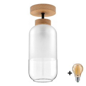 BRILAGI - LED Prisadený luster RETRO GLASS 1xE27/60W/230V pr. 14 cm dub/biela