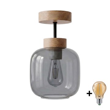 BRILAGI - LED Prisadený luster RETRO GLASS 1xE27/60W/230V pr. 14 cm dub/dymová sivá