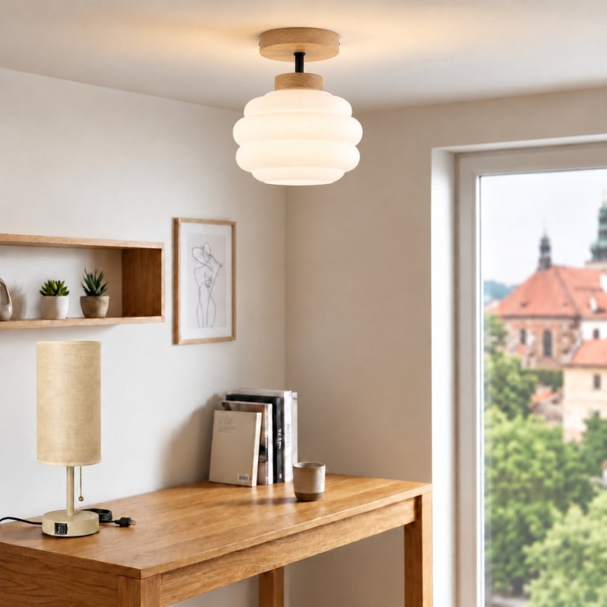 BRILAGI - LED Prisadený luster RETRO GLASS 1xE27/60W/230V pr. 20 cm dub/biela