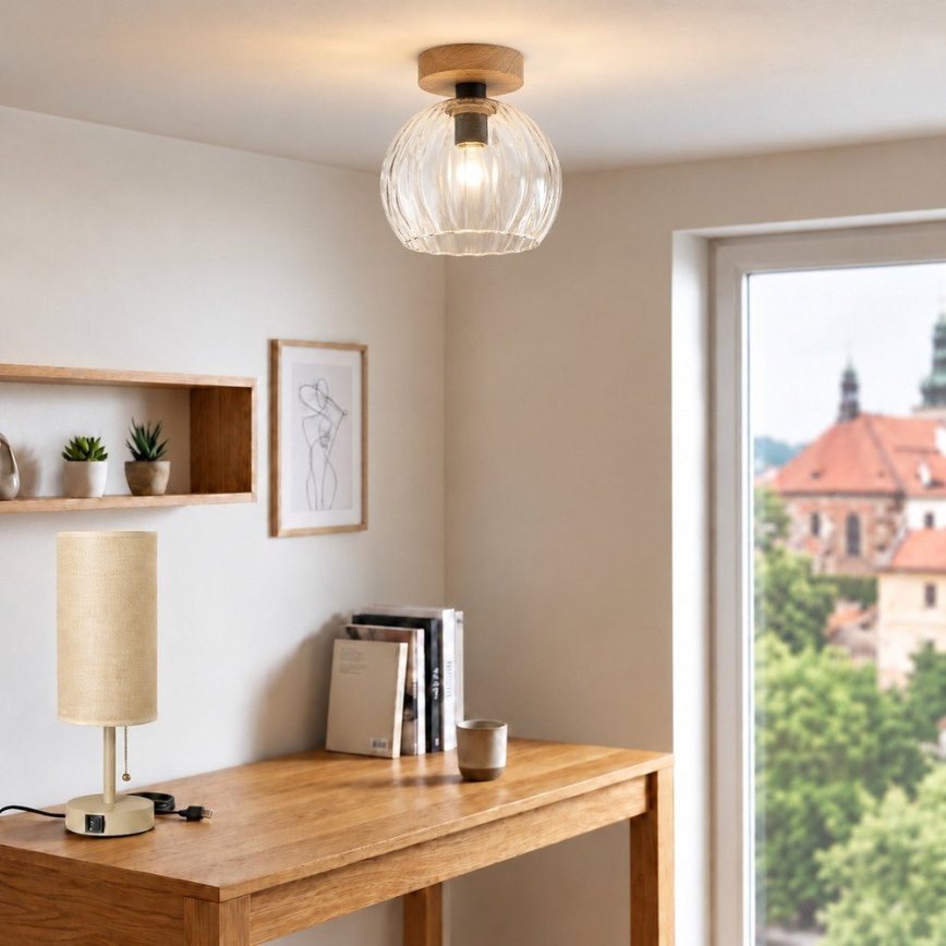 BRILAGI - LED Prisadený luster RETRO GLASS 1xE27/60W/230V pr. 25 cm dub/číre