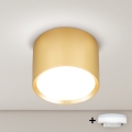 BRILAGI - LED RGB+CCT Stmievateľné bodové svietidlo SMOOTH 1xGX53/14W/230V 60x82 mm 2700-6500K Wi-Fi Tuya zlaté