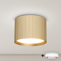 BRILAGI - LED RGB+CCT stmievateľné bodové svietidlo STRIPY 1xGX53/14W/230V 60x82 mm 2700-6500K Wi-Fi Tuya zlatá