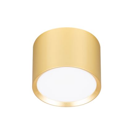 BRILAGI - LED RGB+CCT Stmievateľné bodové svietidlo SMOOTH 1xGX53/14W/230V 60x82 mm 2700-6500K Wi-Fi Tuya zlaté