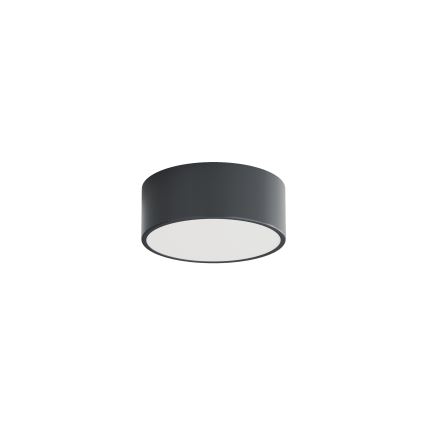 BRILAGI - LED RGBW Stmievateľné kúpeľňové stropné svietidlo CLARE 1xE27/12W/230V pr. 20 cm antracit IP54