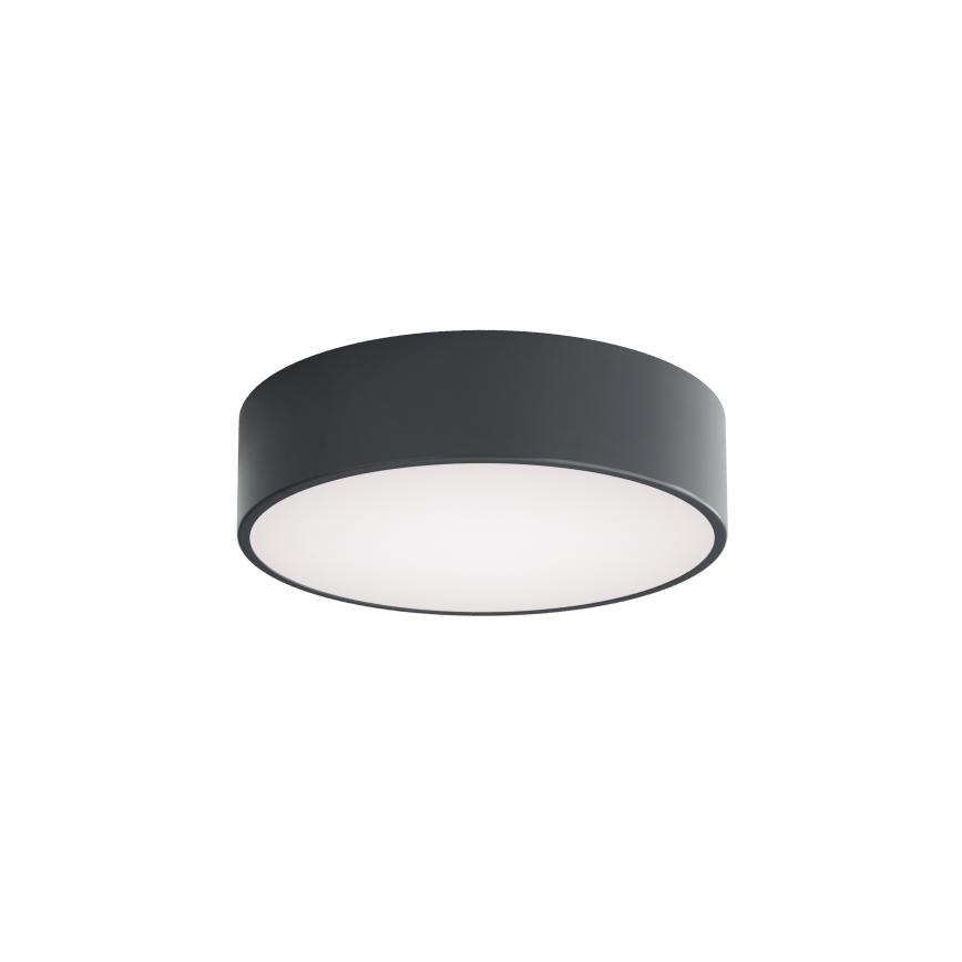 BRILAGI - LED RGBW stmievateľné kúpeľňové stropné svietidlo CLARE 2xE27/12W/230V pr. 30 cm antracit IP54