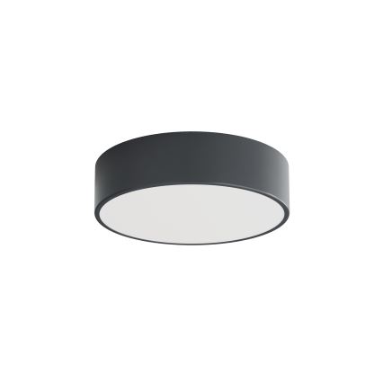 BRILAGI - LED RGBW stmievateľné kúpeľňové stropné svietidlo CLARE 2xE27/12W/230V pr. 30 cm antracit IP54