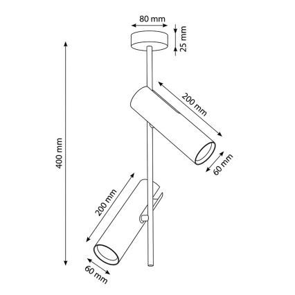 BRILAGI - LED RGBW Stmievateľný luster na tyči BRANCH 2xGU10/6,5W/230V 2700-6500K čierny