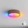 BRILAGI - LED RGBW Stmievateľné stropné svietidlo CLARE 1xE27/12W/230V pr. 20 cm hnedá