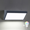 Brilagi - LED RGBW stmievateľné vonkajšie nástenné svietidlo TRIANGLE 1xE27/9W/230V 2700-6500K IP65 antracit