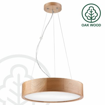 BRILAGI - LED RGBW stmievateľný luster na lane CARVALHO 2xE27/12W/230V 2700-6500K dub priemer 37 cm