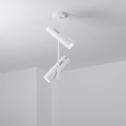 BRILAGI - LED RGBW stmievateľný luster na tyči BRANCH 2xGU10/6,5W/230V 2700-6500K biela