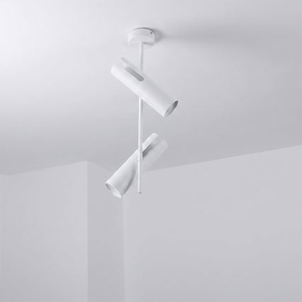 BRILAGI - LED RGBW stmievateľný luster na tyči BRANCH 2xGU10/6,5W/230V 2700-6500K biela