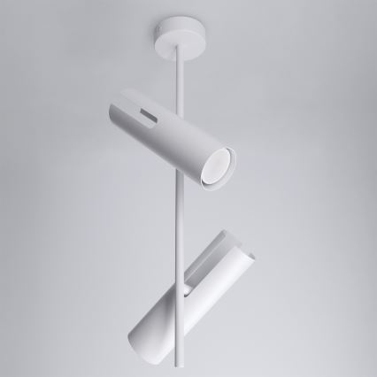 BRILAGI - LED RGBW stmievateľný luster na tyči BRANCH 2xGU10/6,5W/230V 2700-6500K biela