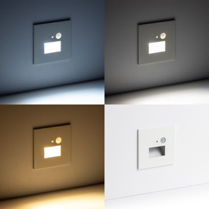 Brilagi - LED schodiskové svietidlo s pohybovým a súmrakovým senzorom JACK LED/1,5W/230V 3000/4000/6500K biela