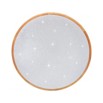 Brilagi - LED stmievateľné stropné svietidlo PINE LED/24W/230V priemer 42 cm 3000-6500K + diaľkové ovládanie