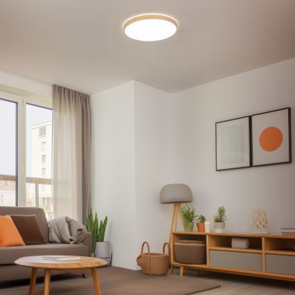 Brilagi - LED stmievateľné stropné svietidlo PINE LED/60W/230V priemer 52 cm 3000-6500K + diaľkové ovládanie