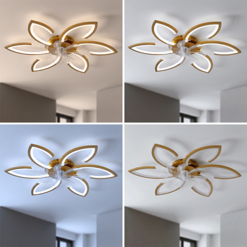 Brilagi - LED stmievateľný stropný ventilátor LED/34W/230V 3000-6500K priemer 78 cm zlatý + diaľkové ovládanie