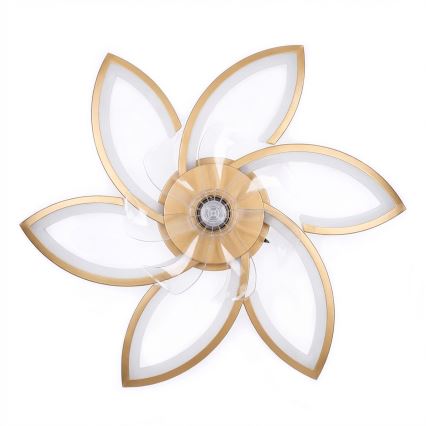 Brilagi - LED stmievateľný stropný ventilátor LED/34W/230V 3000-6500K priemer 78 cm zlatý + diaľkové ovládanie