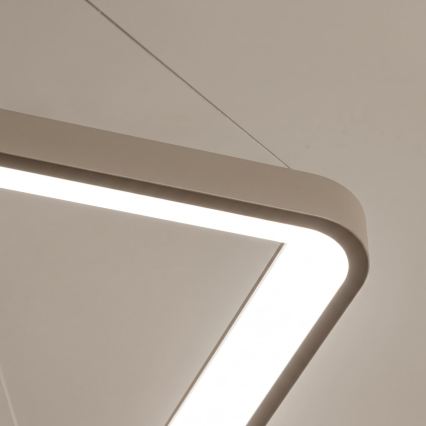 BRILAGI - LED Stmievateľný luster na lanku FALCON SLIM LED/50W/230V 3000-6500K 50x50 cm béžová + diaľkové ovládanie